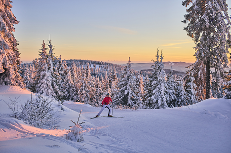 ©Bodenmais Tourismus / Woidlife Photography Langlauf am Bretterschachten